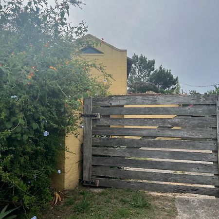 Proa Amarilla Apartman Punta del Este Kültér fotó